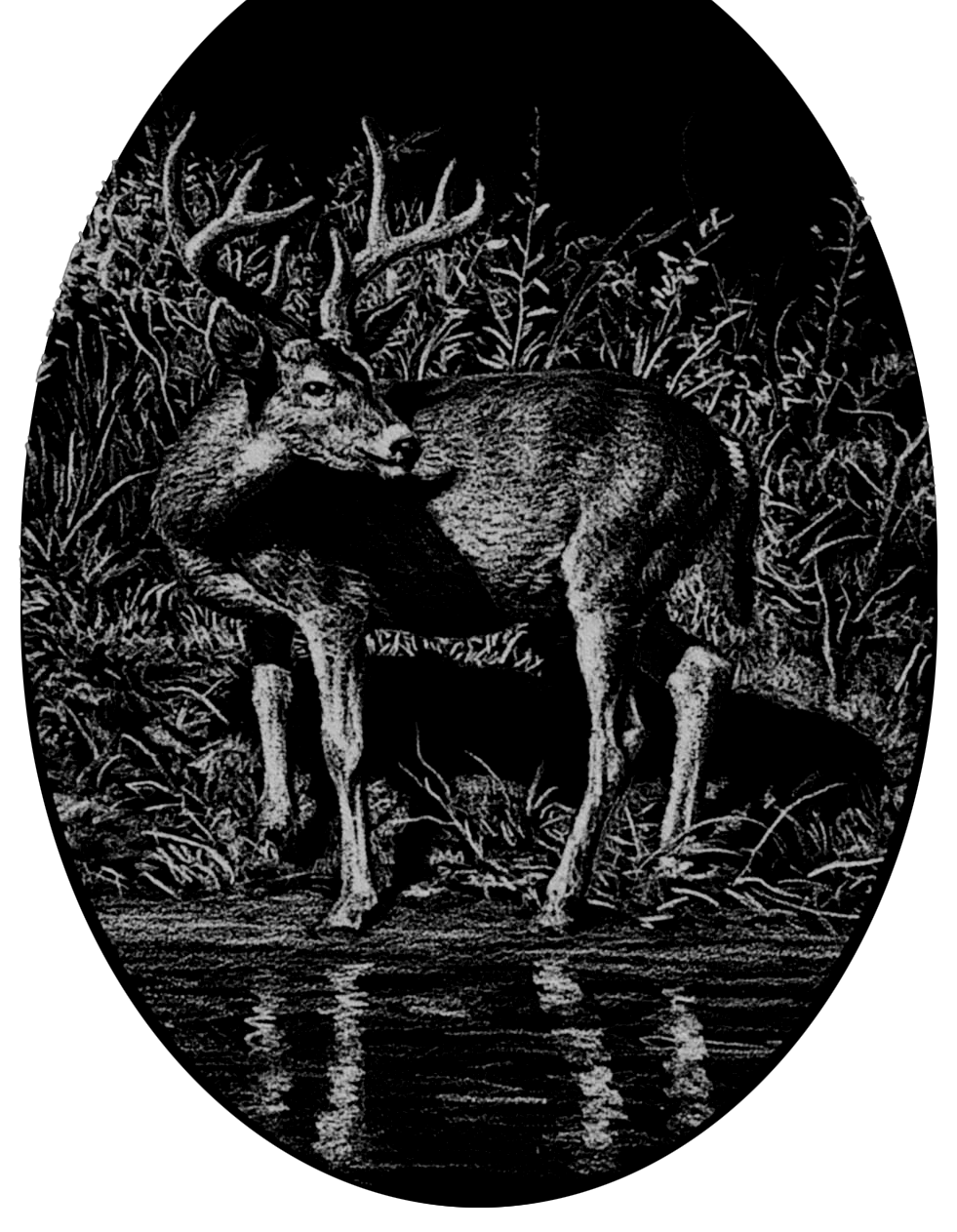 027ST-DEER.png 027ST-DEER - Image 1