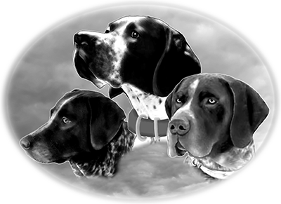 027ST-PET.png 027ST-PET - Image 1