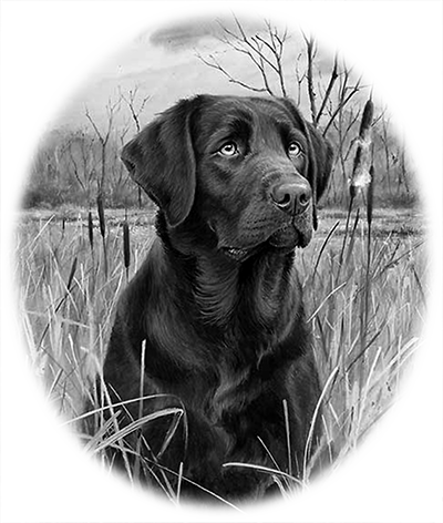 028ST-PET.png 028ST-PET - Image 1