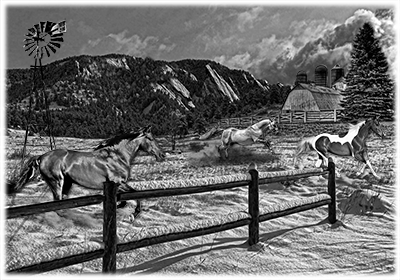 029SC-FARM.png 029SC-FARM - Image 1