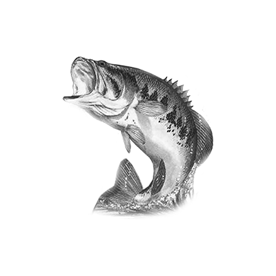 029ST-FISHING.png 029ST-FISHING - Image 1