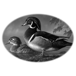 030ST-BIRDS.png 030ST-BIRDS - Image 1