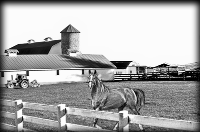 034SC-FARM.png 034SC-FARM - Image 1