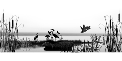 035SC-BIRDS.png 035SC-BIRDS - Image 1
