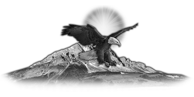 037SC-BIRDS.png 037SC-BIRDS - Image 1