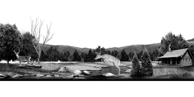 041SC-DEER.png 041SC-DEER - Image 1
