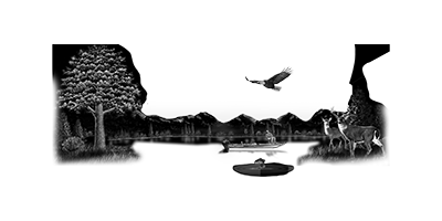 041SC-FISHING.png 041SC-FISHING - Image 1