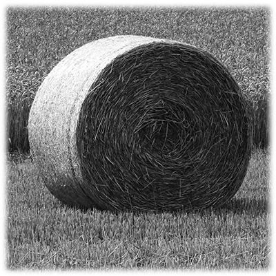 044ST-FARM.png 044ST-FARM - Image 1