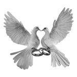046ST-BIRDS.png 046ST-BIRDS - Image 1