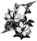 048ST-BIRDS.png 048ST-BIRDS - Image 1