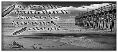 049SC-BEACH.png 049SC-BEACH - Image 1