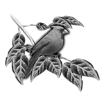 051ST-BIRDS.png 051ST-BIRDS - Image 1