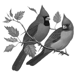 063ST-BIRDS.png 063ST-BIRDS - Image 1