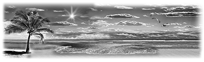 064SC-BEACH.png 064SC-BEACH - Image 1