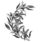 074ST-FLORAL.png 074ST-FLORAL - Image 1