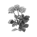 078ST-FLORAL.png 078ST-FLORAL - Image 1