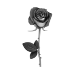 082ST-FLORAL.png 082ST-FLORAL - Image 1