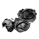 087ST-FLORAL.png 087ST-FLORAL - Image 1