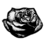 088ST-FLORAL.png 088ST-FLORAL - Image 1