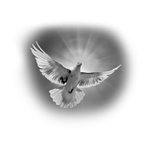090ST-BIRDS.png 090ST-BIRDS - Image 1