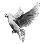 091ST-BIRDS.png 091ST-BIRDS - Image 1