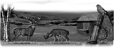 103SC-DEER.png 103SC-DEER - Image 1