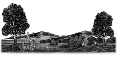109SC-DEER.png 109SC-DEER - Image 1