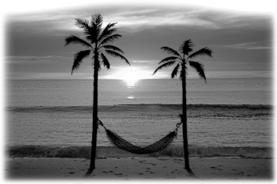 113SC-BEACH.png 113SC-BEACH - Image 1