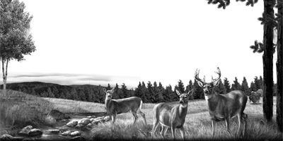 127SC-DEER.png 127SC-DEER - Image 1