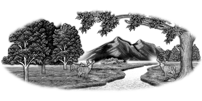 131SC-DEER.png 131SC-DEER - Image 1