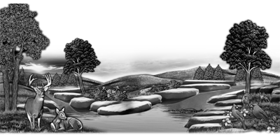 133SC-DEER.png 133SC-DEER - Image 1