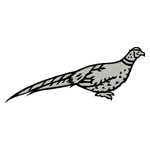 ANI012.png ANI012 - Image 1