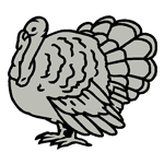 ANI015.png ANI015 - Image 1