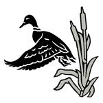 ANI016.png ANI016 - Image 1