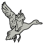 ANI017.png ANI017 - Image 1