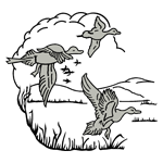 ANI071.png ANI071 - Image 1