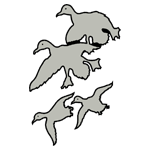 ANI072.png ANI072 - Image 1