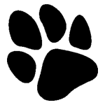 ANI090.png ANI090 - Image 1