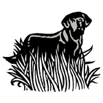 ANI093.png ANI093 - Image 1