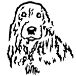 ANI094.png ANI094 - Image 1