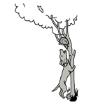 ANI102.png ANI102 - Image 1