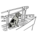 ANI103.png ANI103 - Image 1