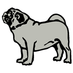 ANI118.png ANI118 - Image 1