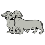 ANI120.png ANI120 - Image 1