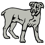 ANI122.png ANI122 - Image 1