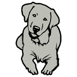 ANI125.png ANI125 - Image 1
