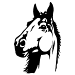 ANI131.png ANI131 - Image 1