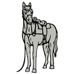 ANI136.png ANI136 - Image 1
