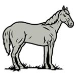 ANI140.png ANI140 - Image 1