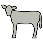 ANI149.png ANI149 - Image 1